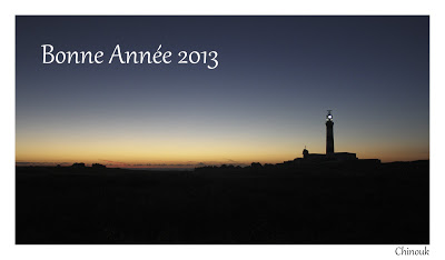 Bonne année 2013