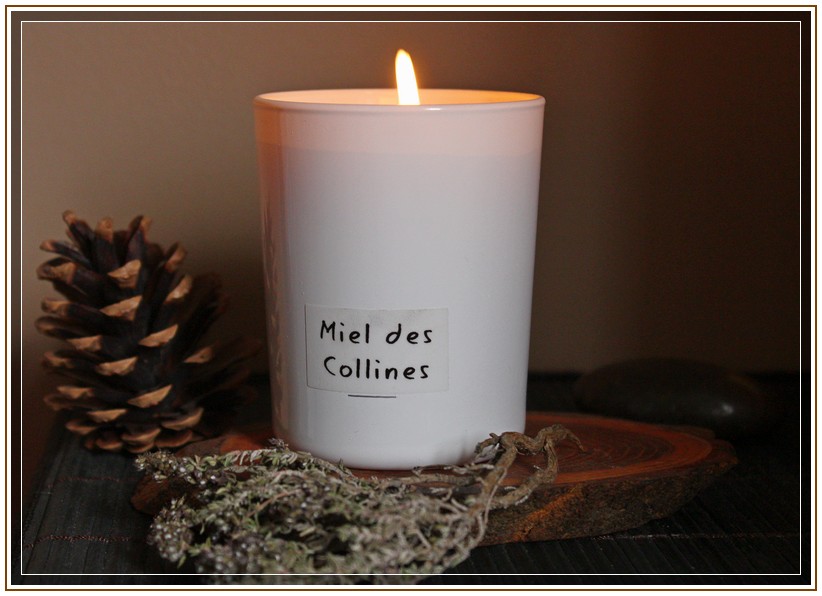 Miel des Collines – Alcante