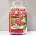 Pink-Hibiscus-yankee-candle.jpg 