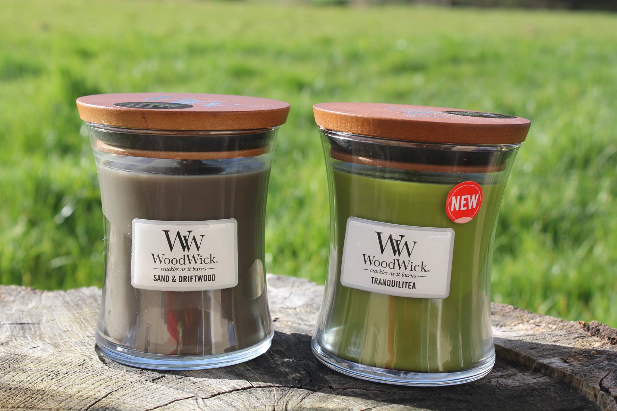  mes bougies woodwick moyenne jarre 