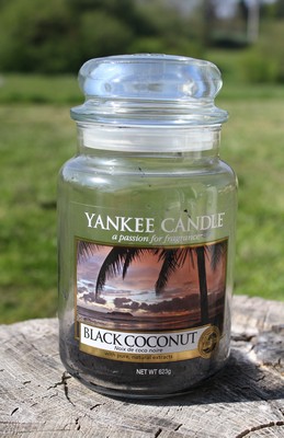 bougie cocooning black coconut de yankee candle 