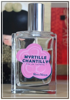 Bougie   Noel myrtille-chantilly-reserve-naturelle  