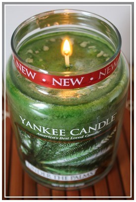  sous le palmier Yankee Candle 