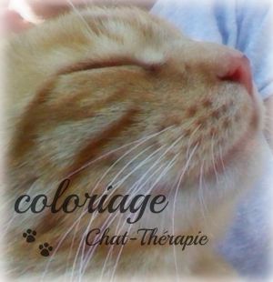 Art-therapie Coloriage Chat