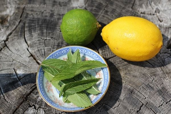 the-glace-citron-menthe-2