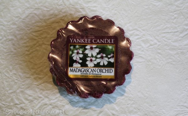 madagascan-orchid-yankee-candle