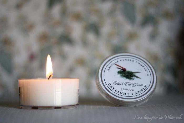 Fresh Cut Grass de Kringle Candle